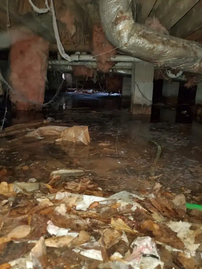 Crawl space flood assessment for Leak Detection & Repair in Gonzales
